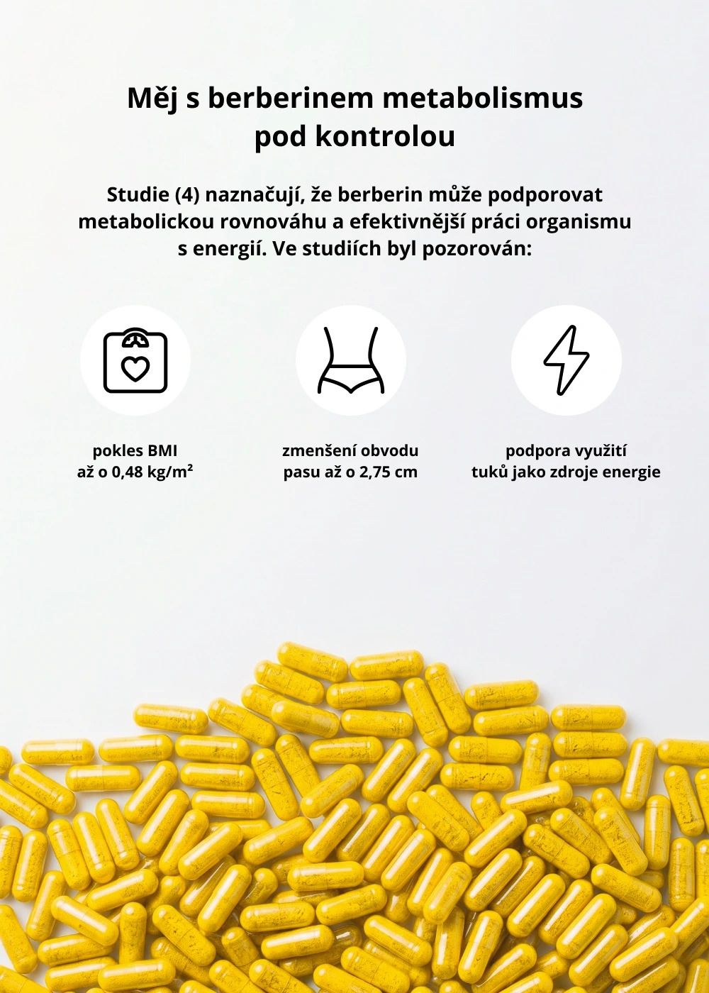 Venira Berberín 60 x 500 mg